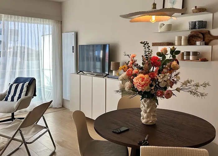 Windekind402 * De Panne